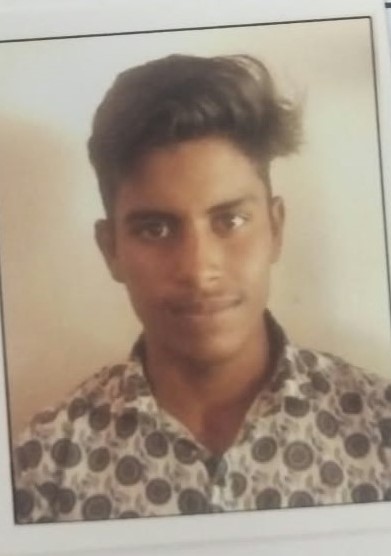 Harish Singh placed at Zebronics India Pvt. Ltd